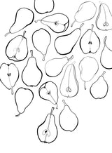 Line art pears Poster och Canvastavla