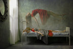 the flying spirit Poster och Canvastavla