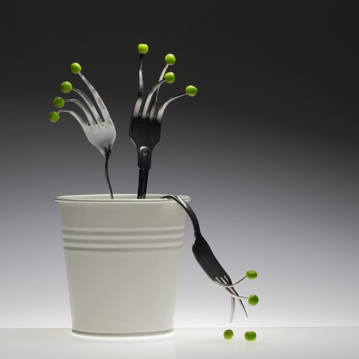 Fork plant Poster och Canvastavla