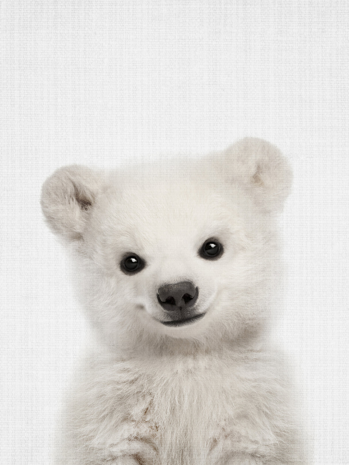 Peekaboo Baby Polar Bear Poster och Canvastavla