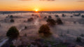 Golden sunrise Poster och Canvastavla
