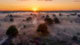 Golden sunrise Poster och Canvastavla
