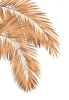 Golden palms white copper 1 Poster och Canvastavla