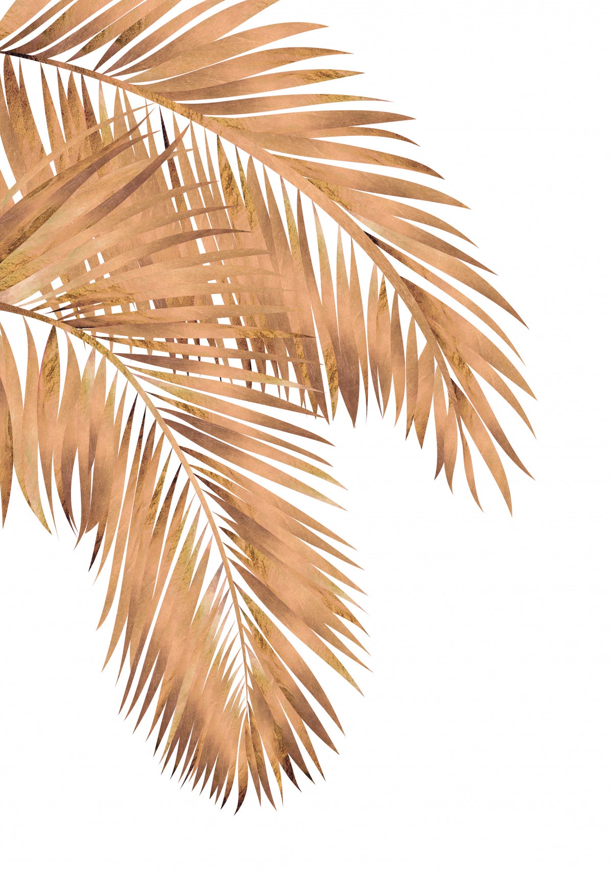Golden palms white copper 1 Poster och Canvastavla