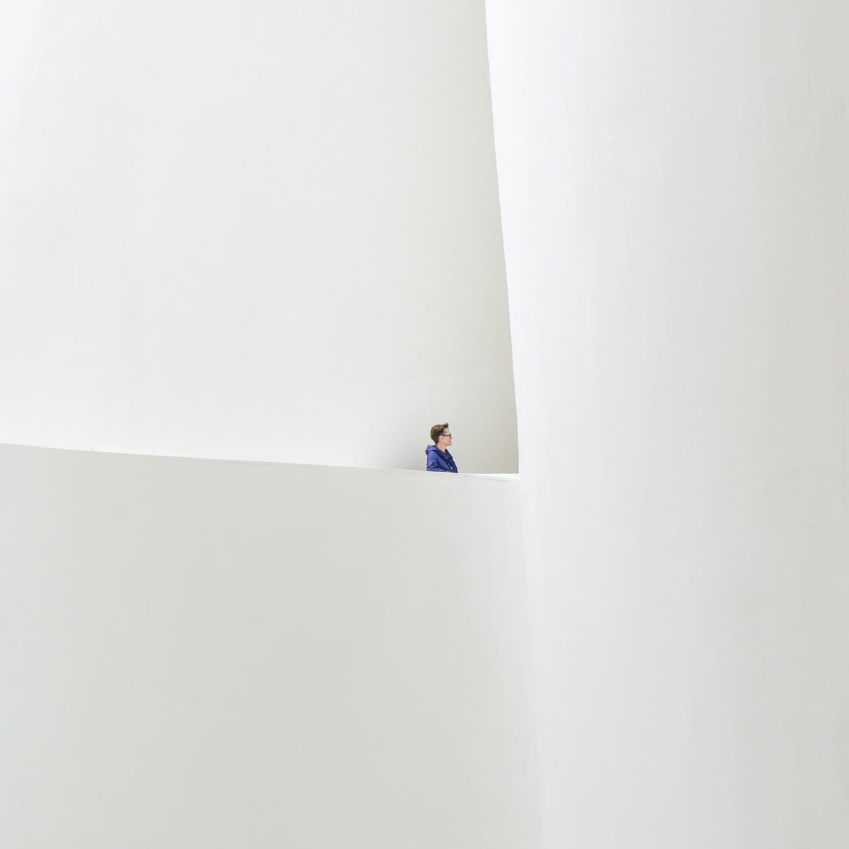 White room - blue coat Poster och Canvastavla