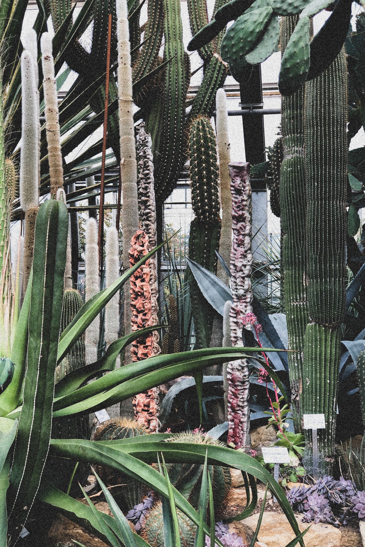 Botanical Garden Poster och Canvastavla