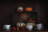 Still Life With Pumpkins Poster och Canvastavla