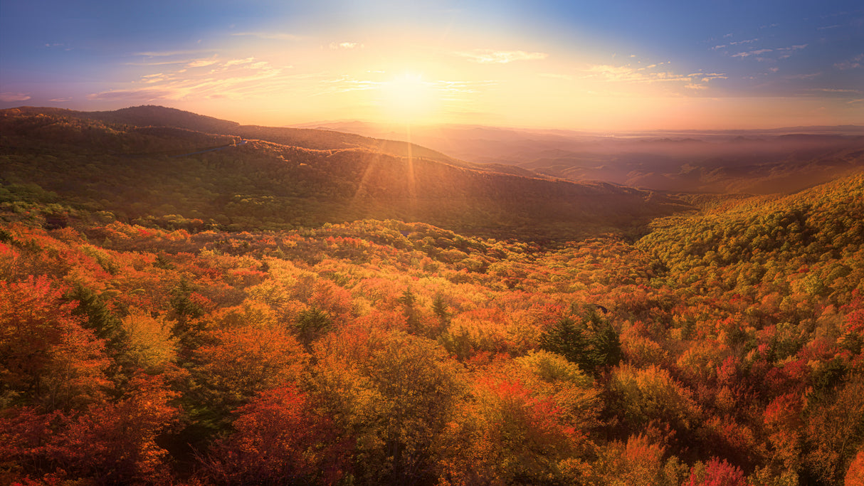 Autumn's Embrace at Sunrise Poster och Canvastavla