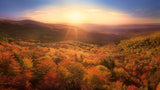 Autumn's Embrace at Sunrise Poster och Canvastavla
