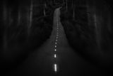 Road Poster och Canvastavla