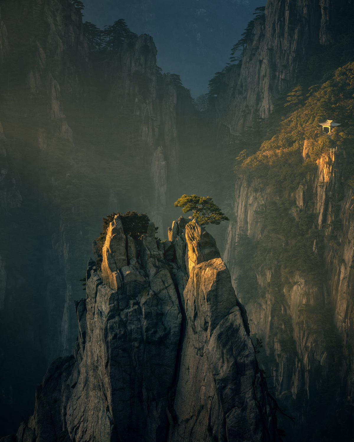 Sunshine in Huangshan Poster och Canvastavla