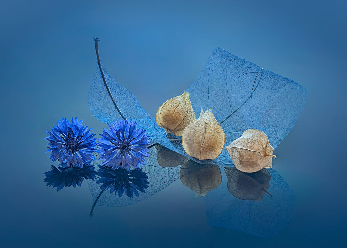 Blue Mood Poster och Canvastavla