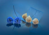 Blue Mood Poster och Canvastavla
