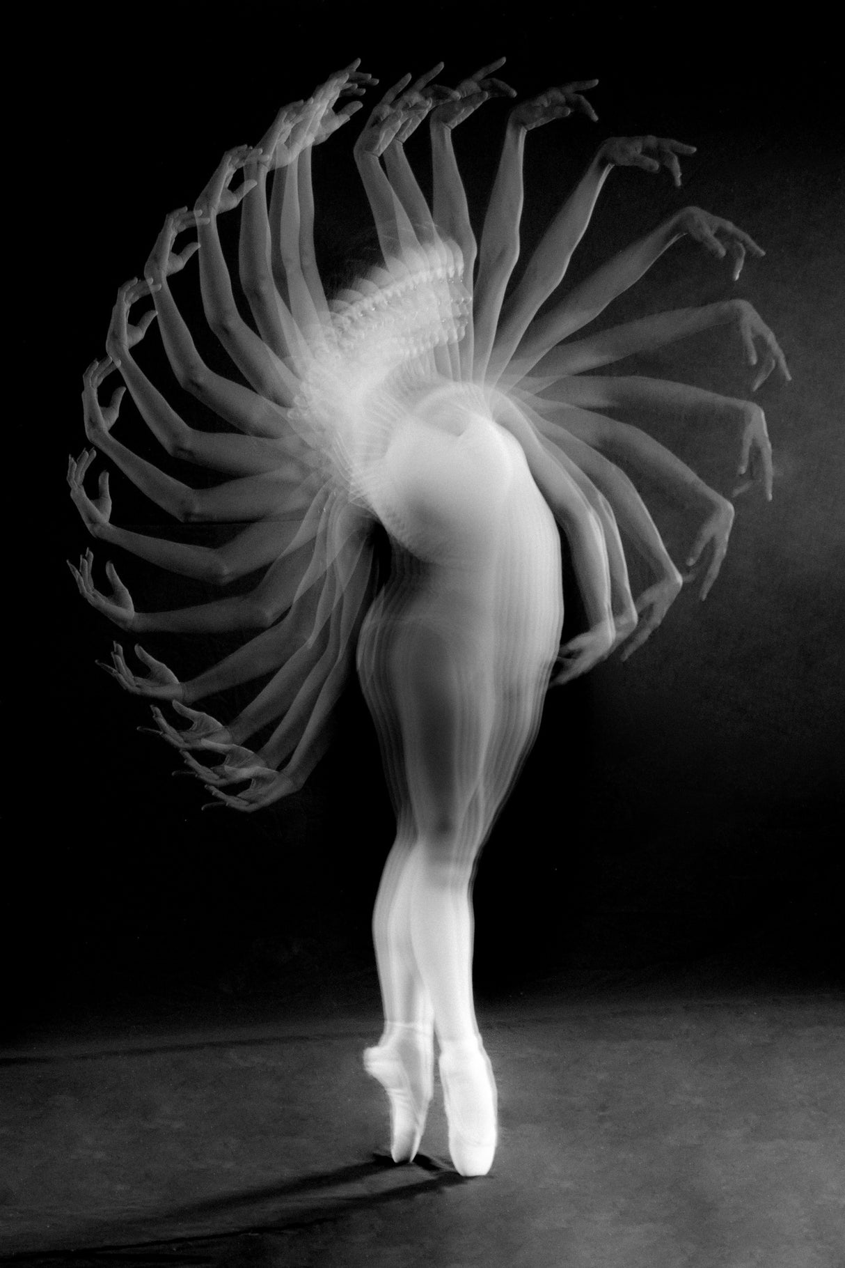 Dance Poster och Canvastavla
