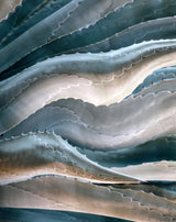 West Coast Waves Poster och Canvastavla