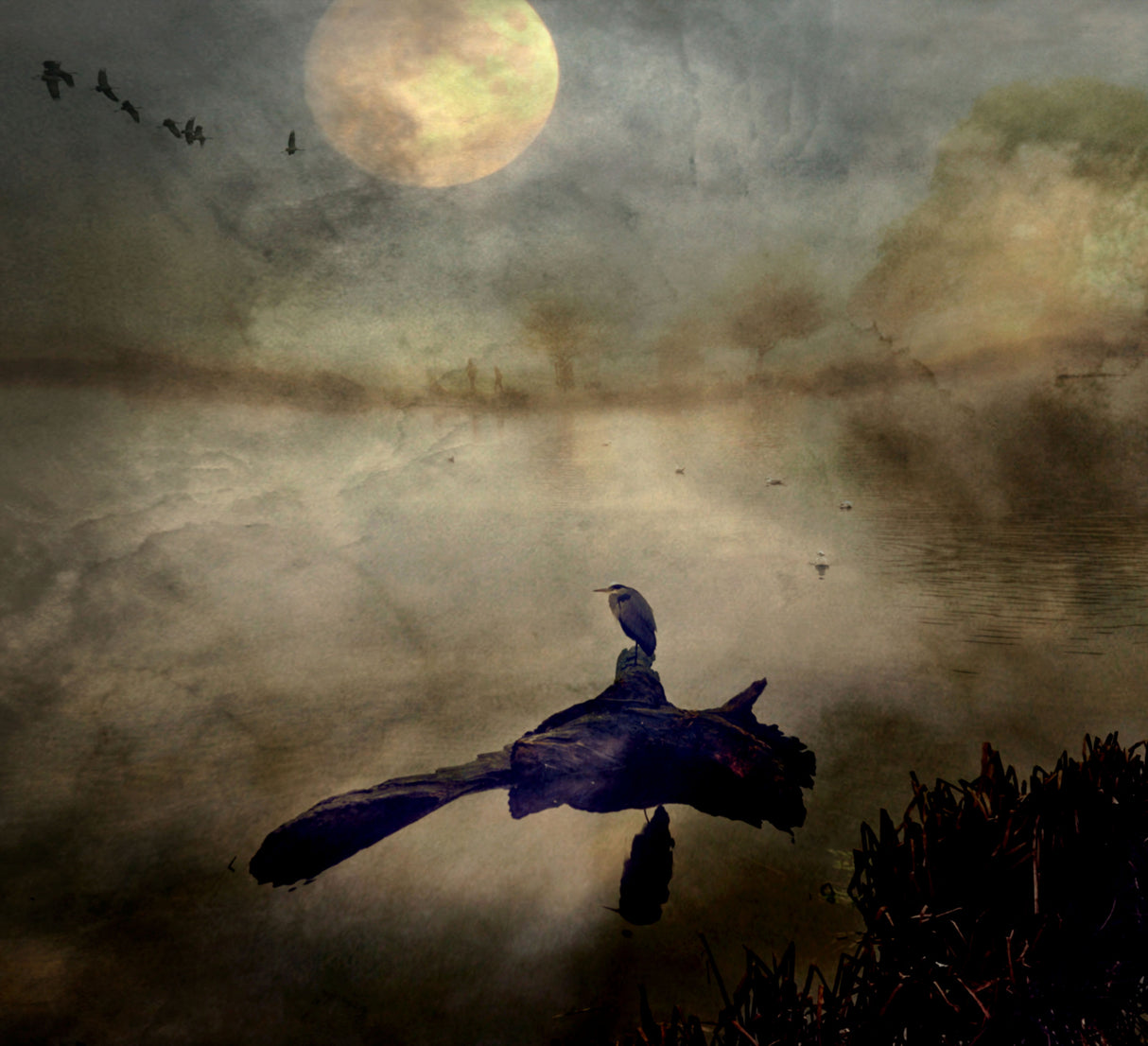 Some Time After... Poster och Canvastavla