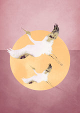 Pink Gold Crane Poster och Canvastavla