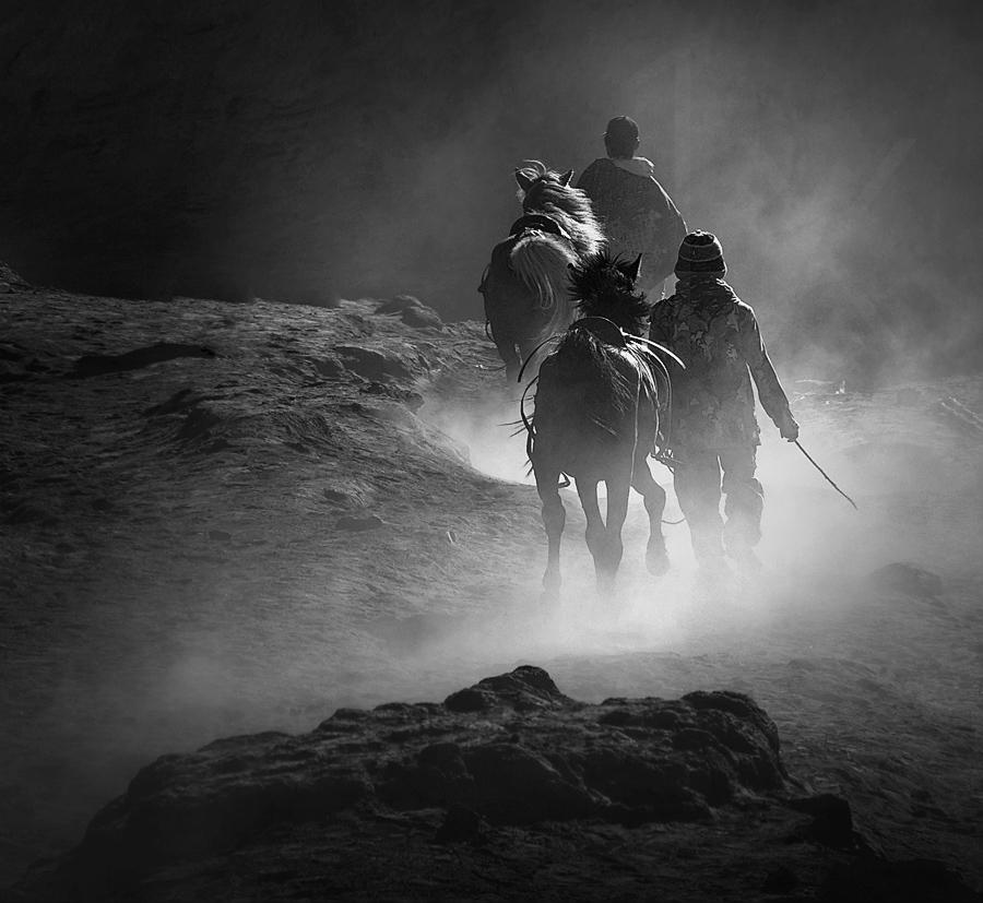 Guide horse Poster och Canvastavla