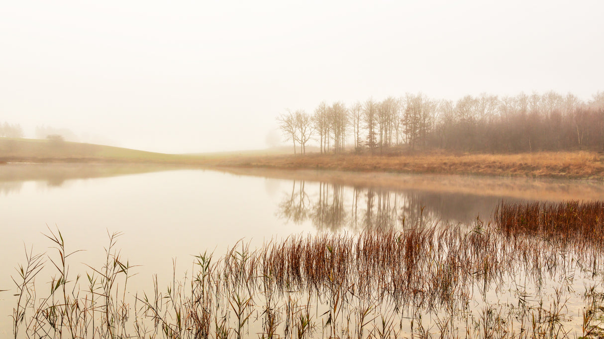 Calm lake Poster och Canvastavla
