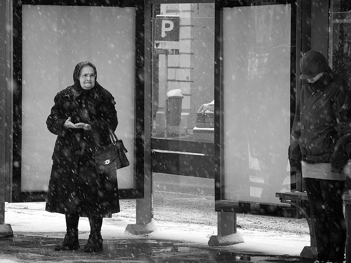 winter passengers Poster och Canvastavla