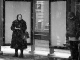 winter passengers Poster och Canvastavla