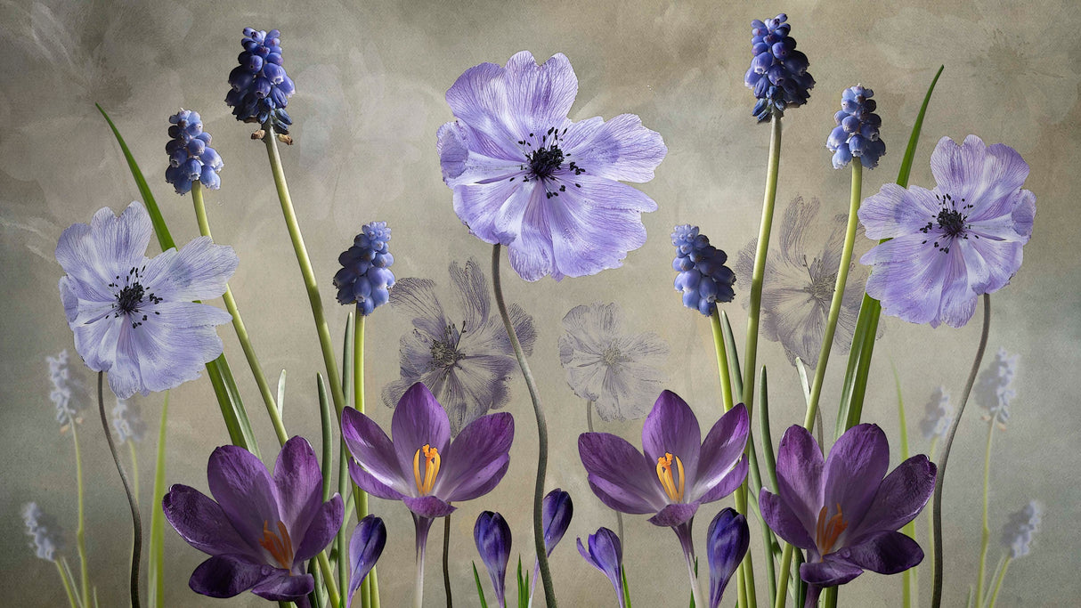 Purple Pleasure Poster och Canvastavla