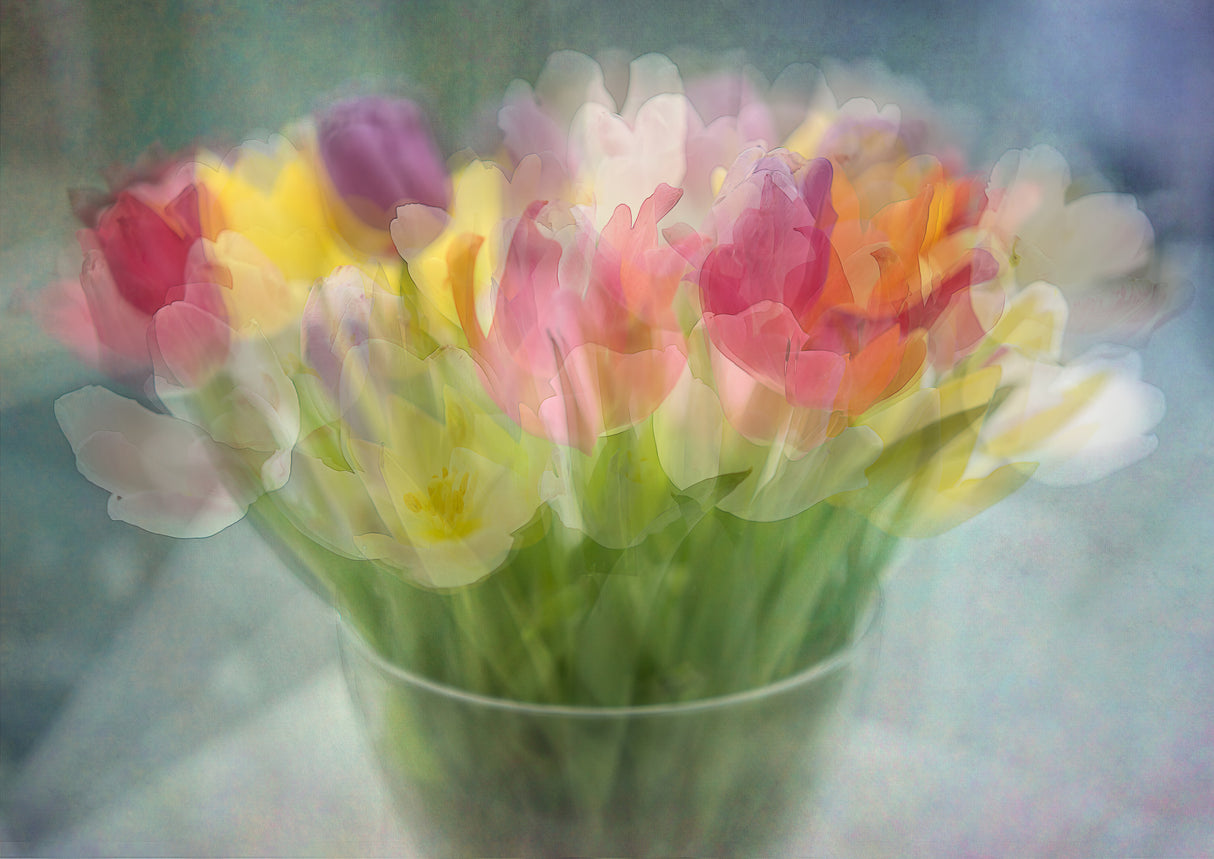Tulips Poster och Canvastavla