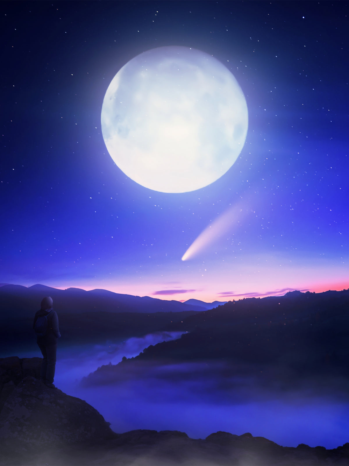 Moon Date Poster och Canvastavla