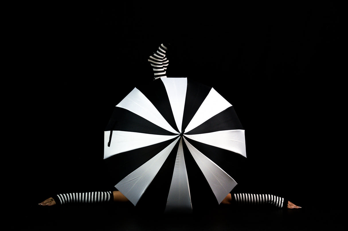 Black and white show Poster och Canvastavla