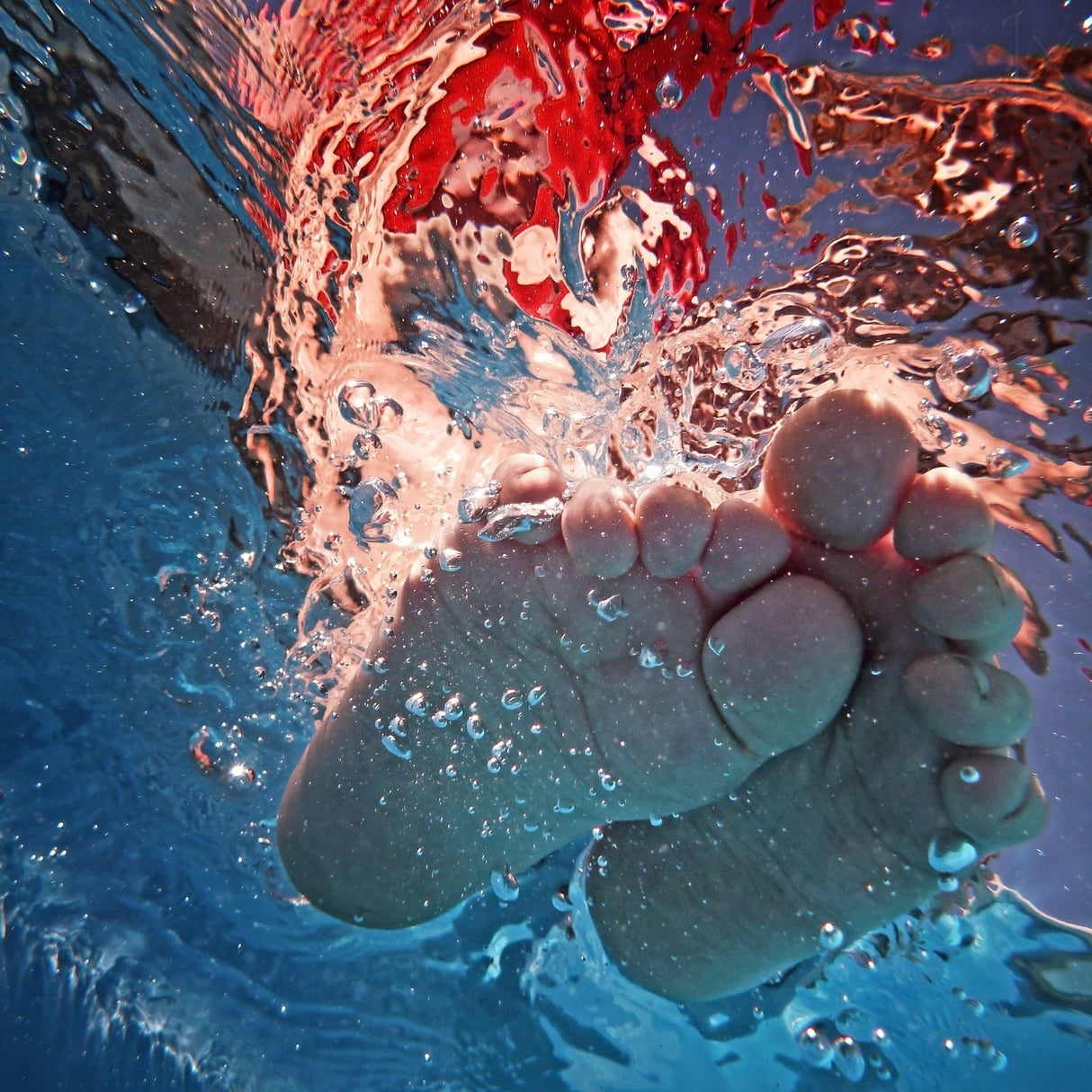 splash ! Poster och Canvastavla