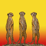 Meerkat Gang at Sunset Poster och Canvastavla