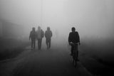 Morning ride Poster och Canvastavla