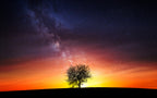 Milky Way Poster och Canvastavla