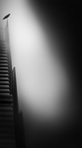 stairway to heaven Poster och Canvastavla