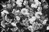 Evening Wal Black &amp; White Poster och Canvastavla