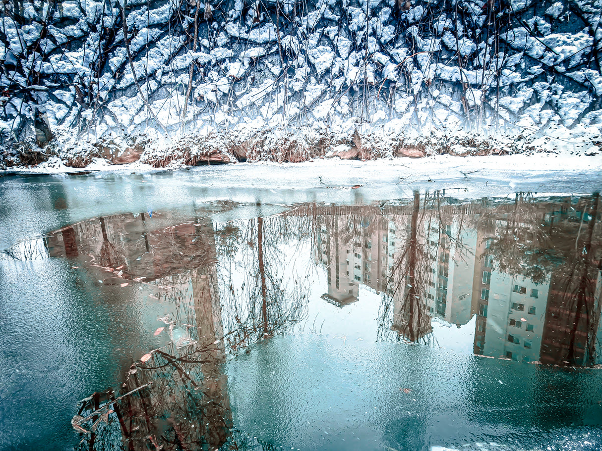 Surreal reflection of our place Poster och Canvastavla