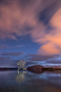 Pre-dawn morning at Lake Wanaka Poster och Canvastavla