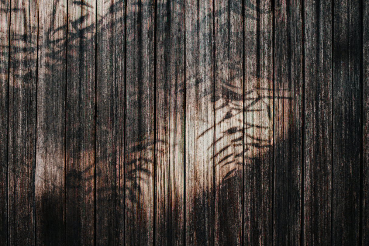 Fence with Shadows Poster och Canvastavla