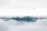 Misty Morning Surprise Poster och Canvastavla
