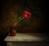 still life with flower Poster och Canvastavla