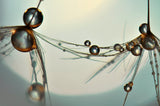 Connected Poster och Canvastavla