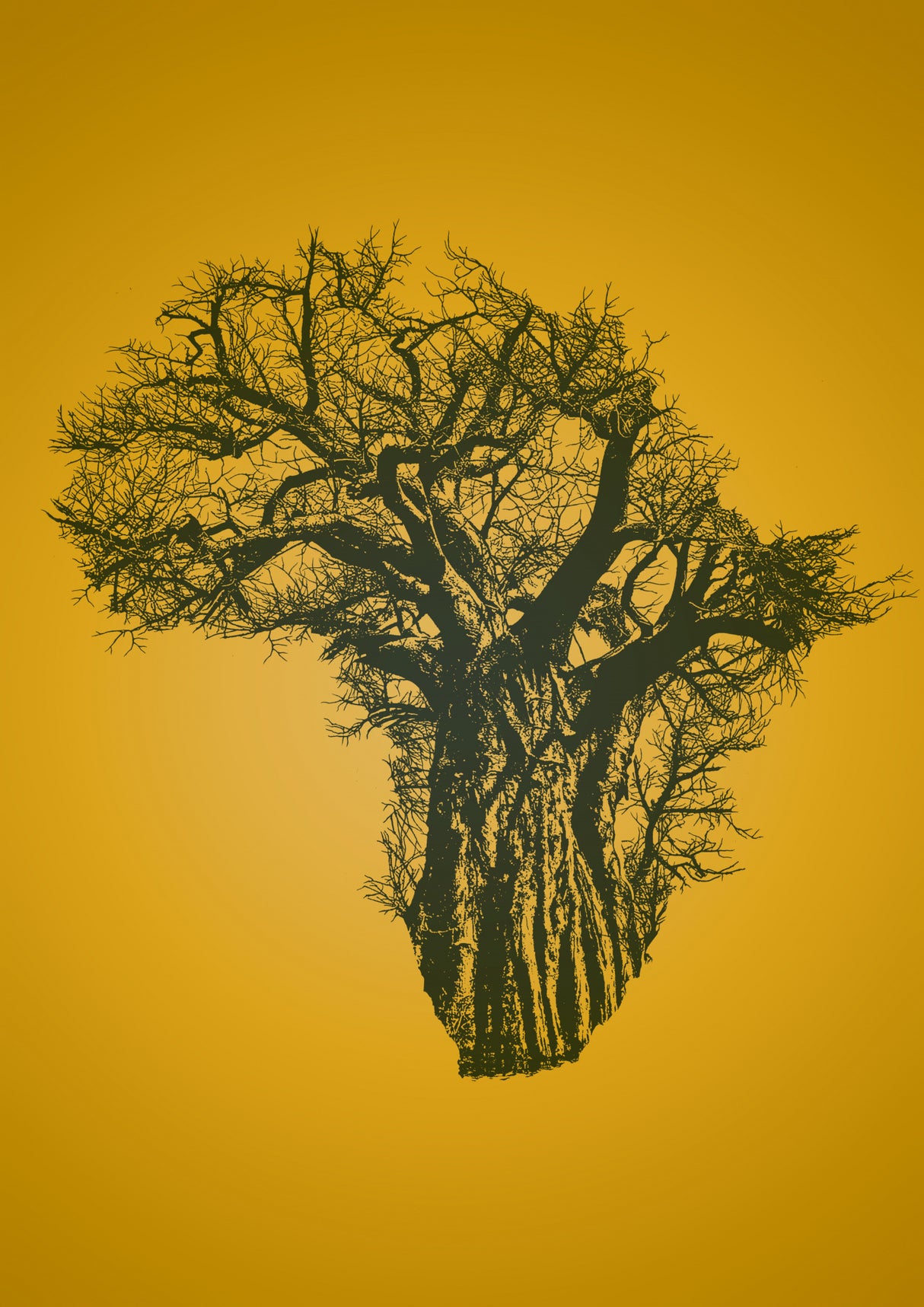 African Baobab Tree at Sunset Poster och Canvastavla
