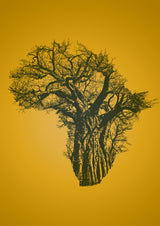 African Baobab Tree at Sunset Poster och Canvastavla