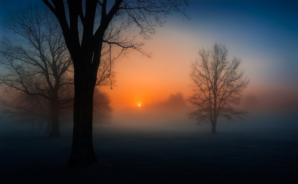 Foggy sunrise Poster och Canvastavla