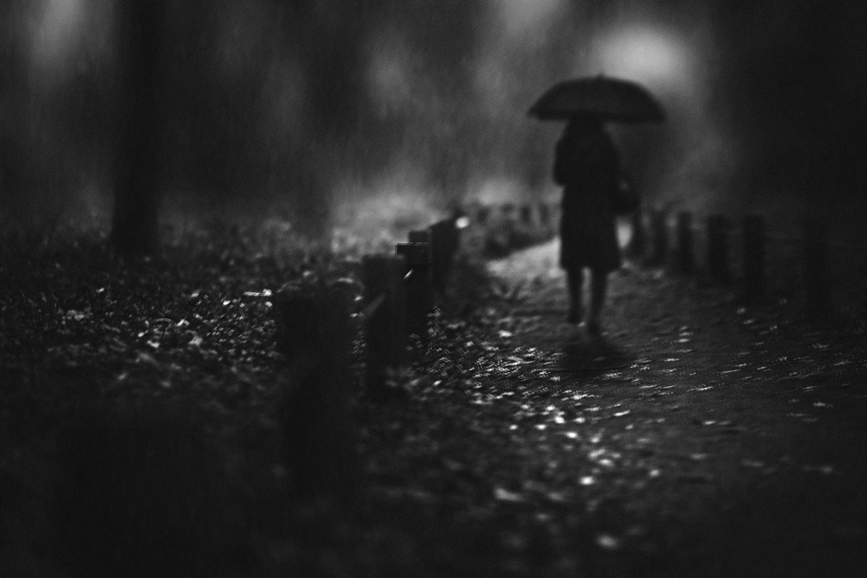 rain Poster och Canvastavla