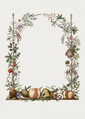 Hand Drawn Botanical Frame Poster och Canvastavla