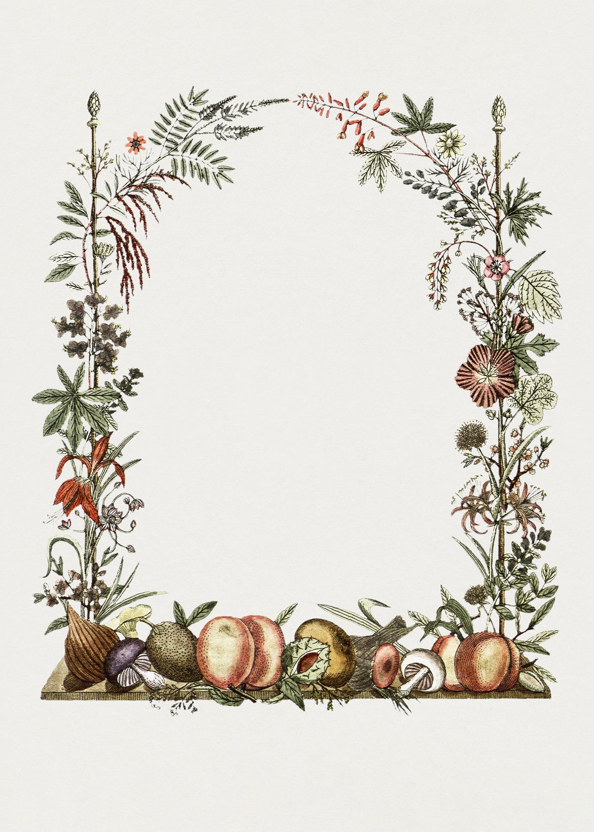 Hand Drawn Botanical Frame Poster och Canvastavla