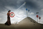 Forest of signposts Poster och Canvastavla