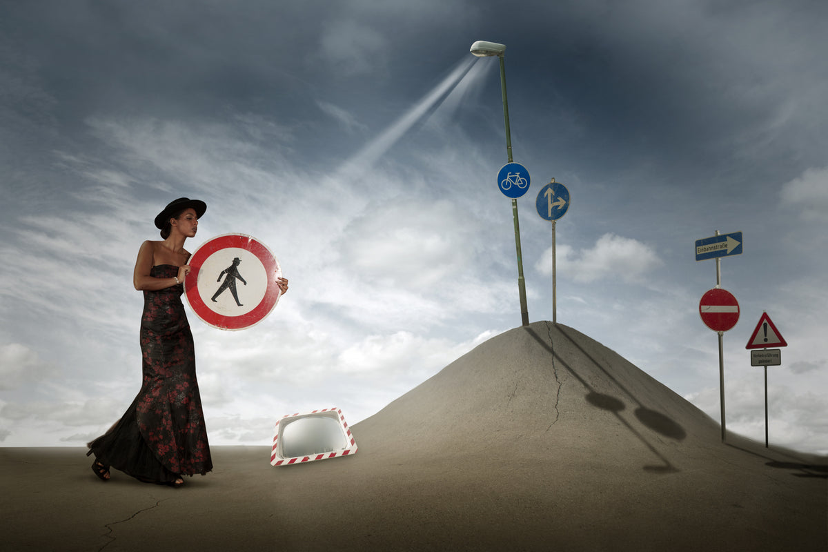 Forest of signposts Poster och Canvastavla