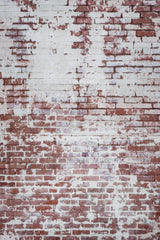 Brick Wall Poster och Canvastavla